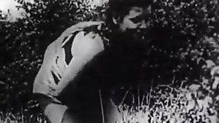 Hard Sex in Green Meadow (1930s Vintage)